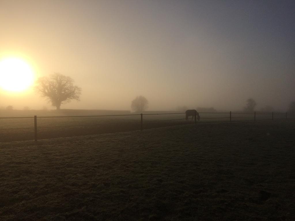 Great Ashley Farm Bed And Breakfast & Shepherds Huts Bradford-On-Avon Extérieur photo